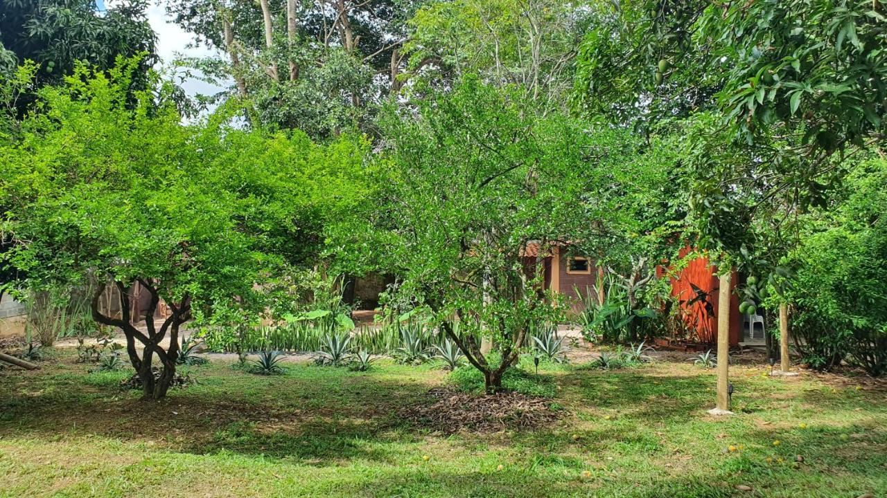 Free Soul House - Localizacao Ideal No Centrinho Алту-Параизу-ди-Гояс Экстерьер фото