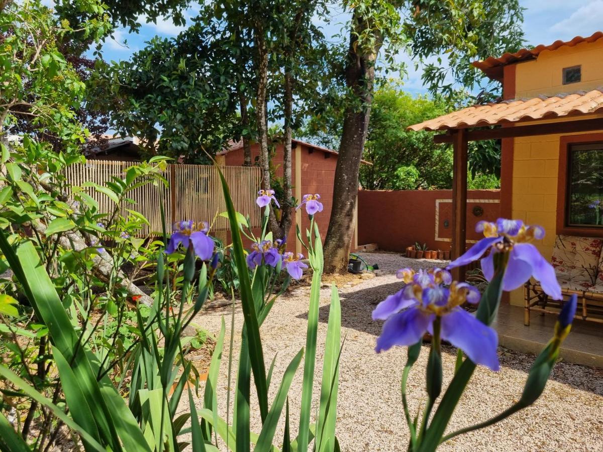 Free Soul House - Localizacao Ideal No Centrinho Алту-Параизу-ди-Гояс Экстерьер фото